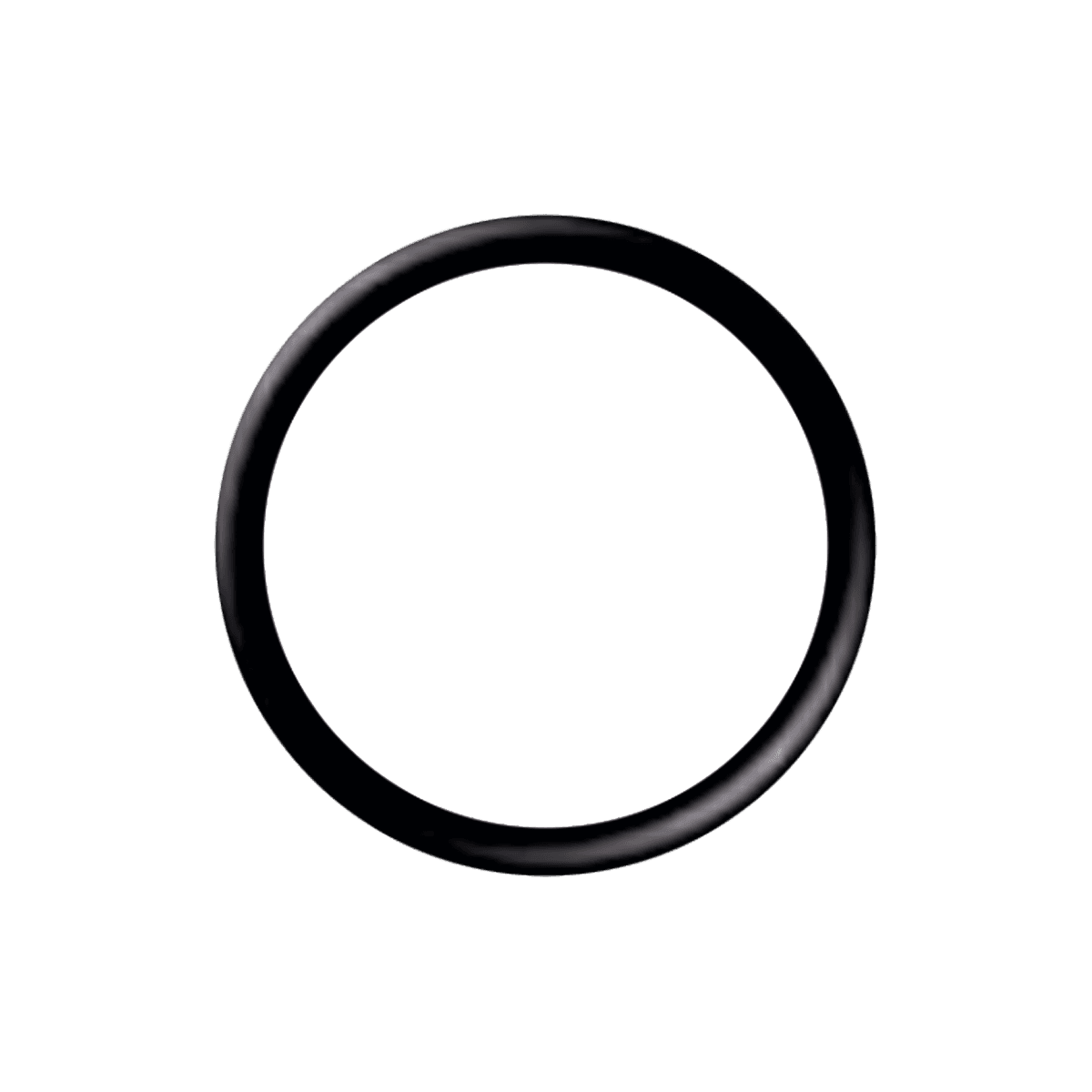 O'RING 23,00 mm X 2,00 mm (10 unid.)