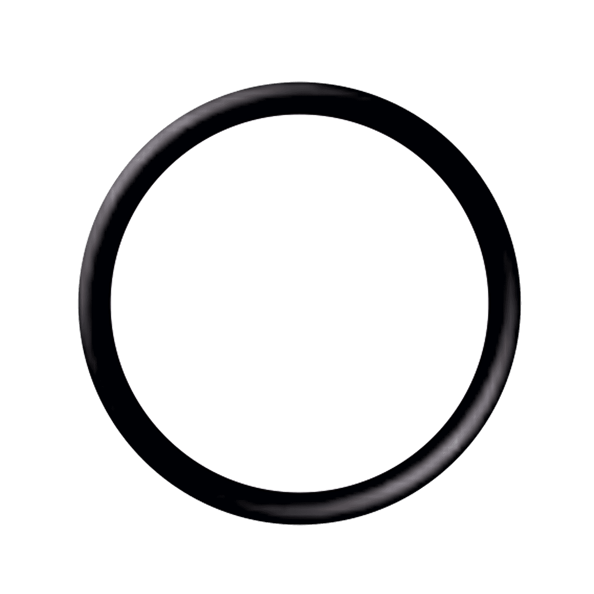 O'RING 25,15 mm X 2,05 mm (10 unid.)