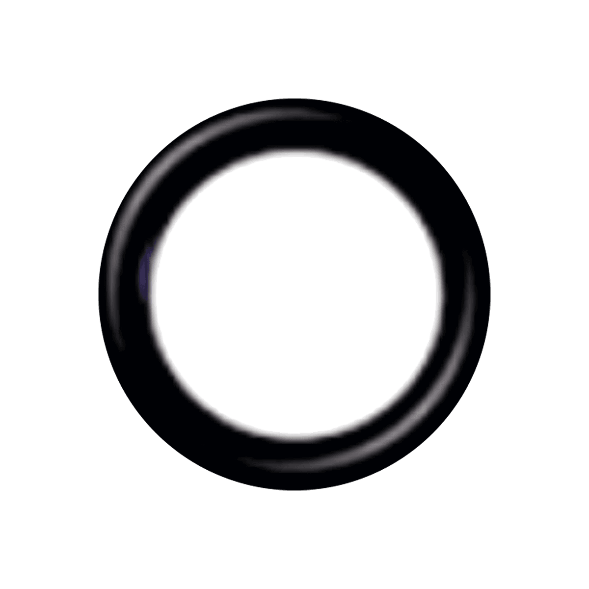 O'RING 26,64 mm X 2,62 mm (10 unid.)